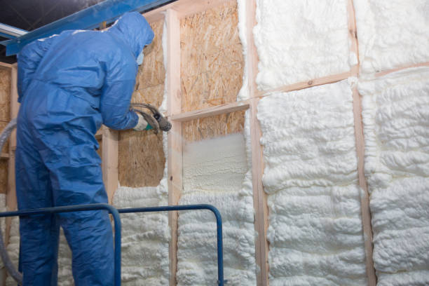 Best Attic Insulation Installation  in Meggett, SC